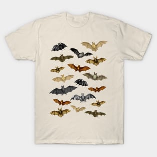 Vintage Dark Academia Bat Illustrations - Halloween Costume T-Shirt